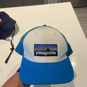 Patagonia Trucker Hat